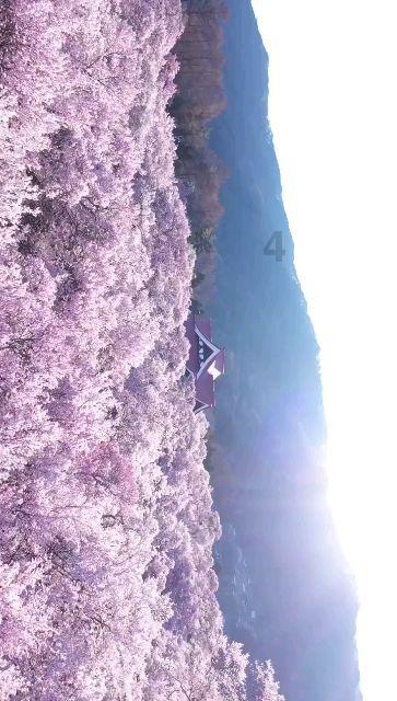 星际战舰