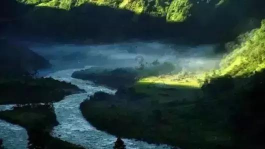 后卫营救