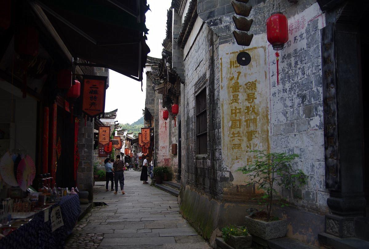 狗狗不能吃的十大水果